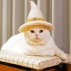 White Wizard Cat With Hat paint by number