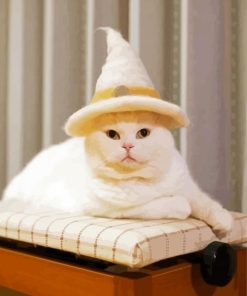 White Wizard Cat With Hat paint by number