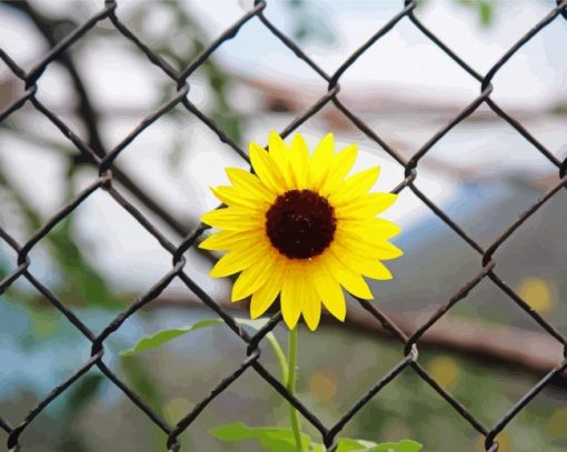 Yellow Flowers And Fence paint by number