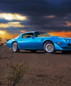 1979 Blue Pontiac Firebird Classic Car paint by number