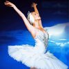 Aesthetic Swan Lake BallerinaAesthetic Swan Lake Ballerina paint by number