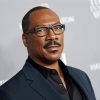 American Actor Eddie Murphy paint by number