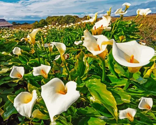 Arum Lilies In Field paint by number