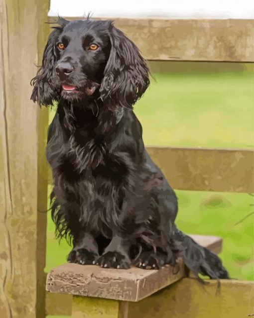 Black English Cocker Spaniel paint by number