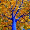 Blue Tree paint by number