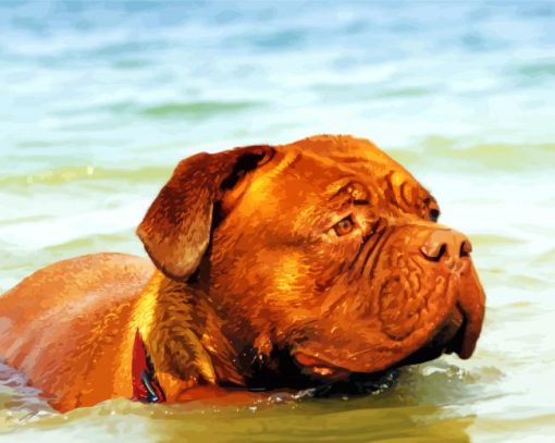 Bordeaux Mastiff In Water Paint by number