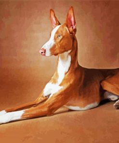 Brown Podenco paint by number