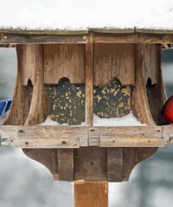 Cardinal And Blue Jay At Bird Feeder paint by number