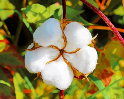 Close Up Cotton Flower paint by number