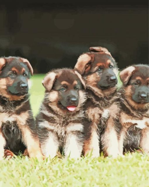 Cute German Shepherd Puppies paint by number