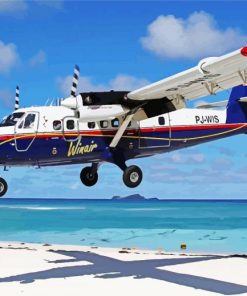 De Havilland Canada Twin Otter paint by number