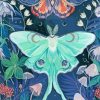 Luna Moth Art paint by number