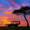 Maasai Mara Safari Land paint by number