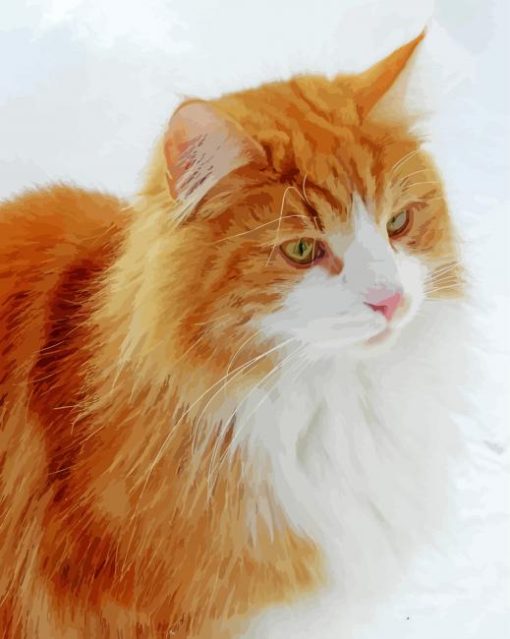 Norwegian Cat In Snow paint by number