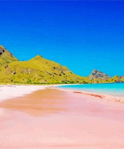 Pink Sand Beach Indonesia paint by number