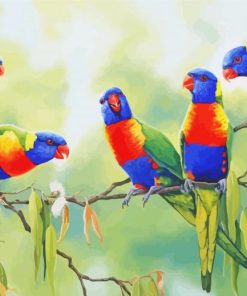 Rainbow Lorikeets paint by number