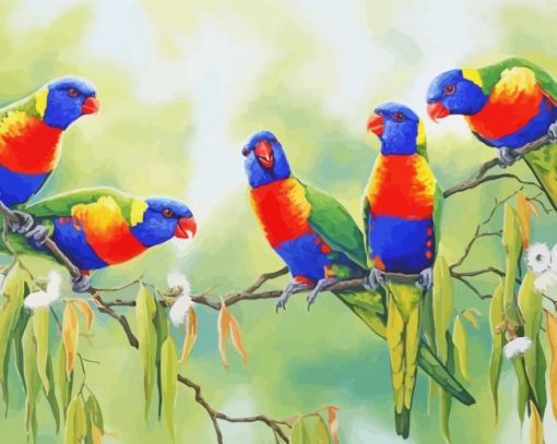 Rainbow Lorikeets paint by number