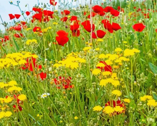 Red And Yellow Flowers Field paint by number