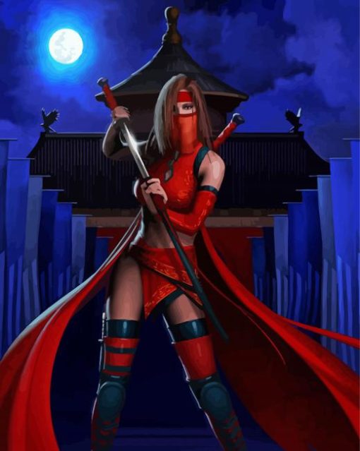 Red Kunoichi Ninja Lady paint by number