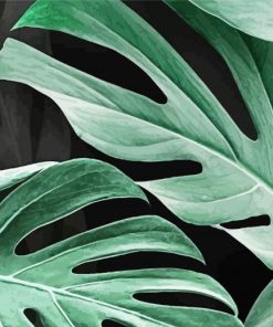 Swiss Cheese Plant Leaves paint by number