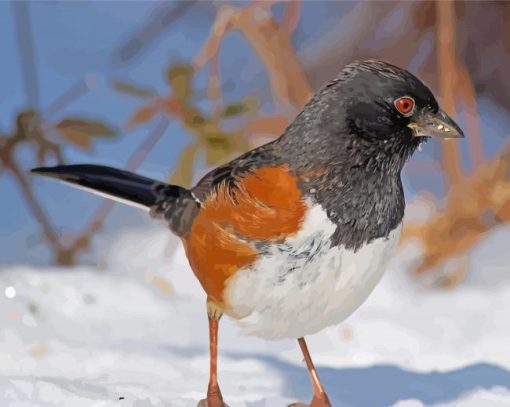 Towhee In Snow paint by number