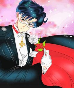 Tuxedo Mask Cartoon paint by number