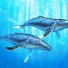 Two Humpback Whale paint by number