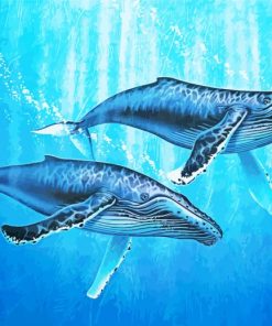 Two Humpback Whale paint by number