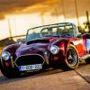 Vintage Ford Shelby Cobra Car paint by number