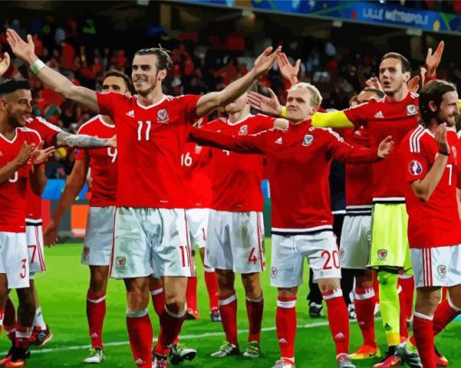 Wales football Team paint by number