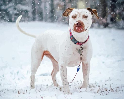 White Staffy Dog In Snow paint by number