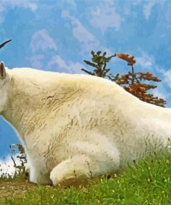 Wild Mountain Goat paint by number