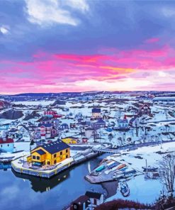 Winter Quidi Vidi paint by number