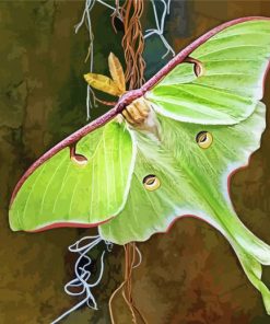 Aesthetic Luna Moth paint by number