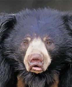 Aesthetic Sloth Bear paint by number