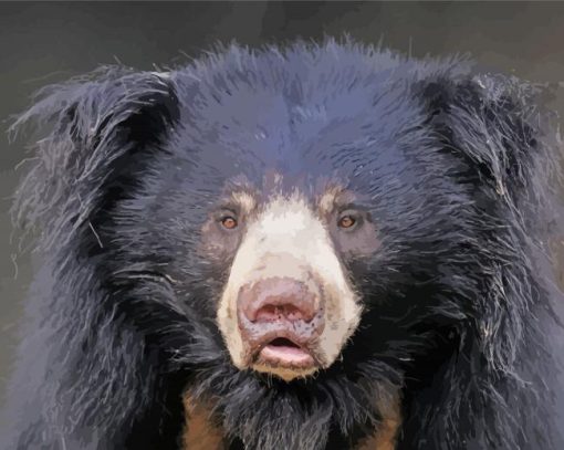 Aesthetic Sloth Bear paint by number