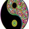 Aesthetic Yin Yang Mandala paint by number