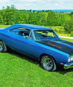 Blue 1969 Plymouth Roadrunner Car paint by number