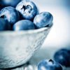 Bowl Of Blueberries Fruit paint by number