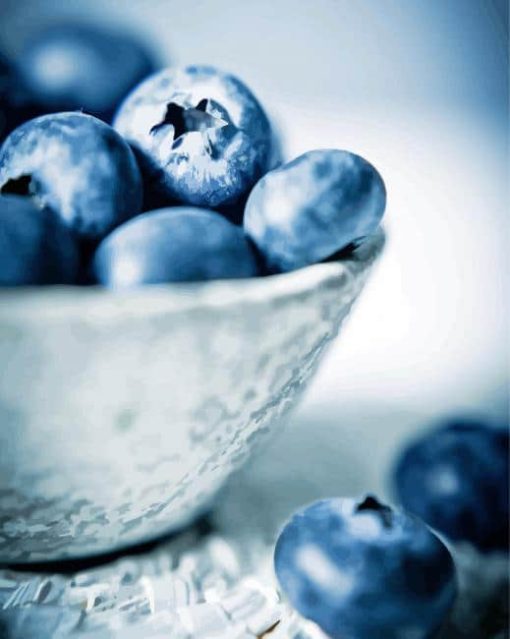 Bowl Of Blueberries Fruit paint by number