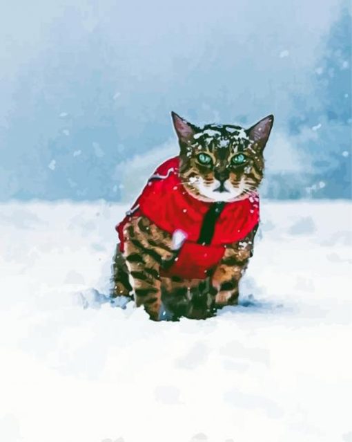 Cat In Winter Snow paint by number