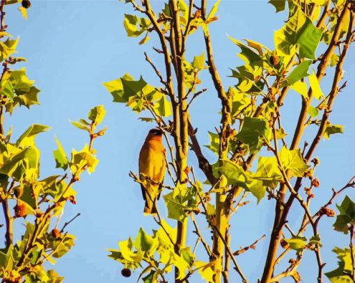 Cedar Tree With Bird paint by number