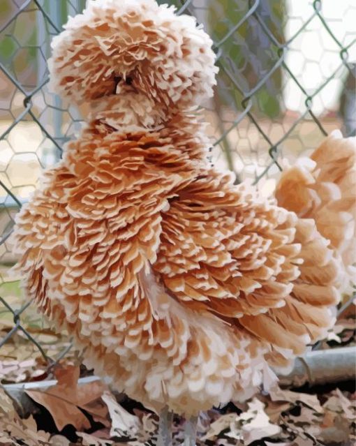 Cute Frizzle Chicken paint by number