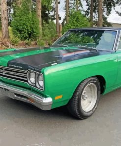 Green 1969 Plymouth Roadrunner paint by number