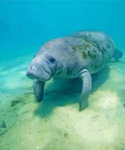 Manatee Animal Underwater Paint by number