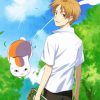 Natsume Yuujinchou Manga Anime paint by number