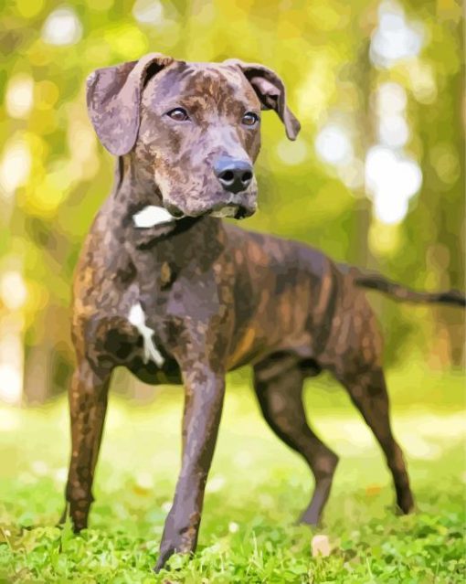 Plott Hound Puppy Paint by number