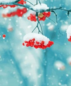 Snow On Berries Fruit Tree paint by number