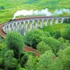 Train Viaduct Railway paint by number