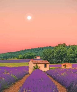 Aesthetic Cottage And Lavender Field paint by number